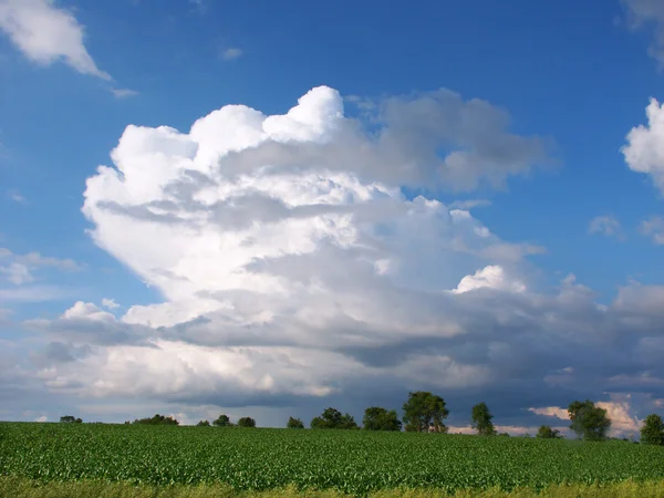 Іллінойс хмарність — стокове фото