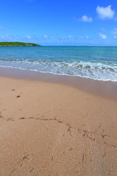 Seven Seas Beach - Puerto Rico — Stock Photo, Image