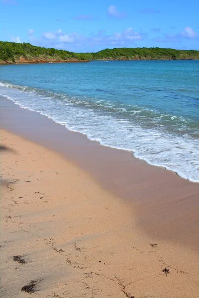 7 つの海ビーチ - プエルトリコ — ストック写真