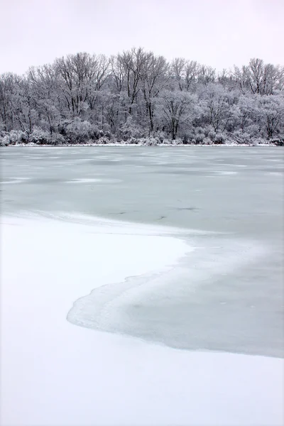 Pierce Lake Snowfall - Illinois — Stock Photo, Image