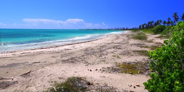 Guanica Beach - Puerto Rico clipart