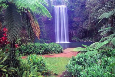 Millaa Millaa Falls - Australia clipart