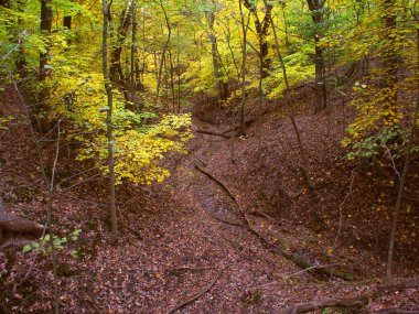 güzel gorge - Illinois