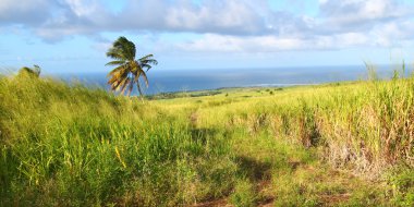 Saint kitts peyzaj