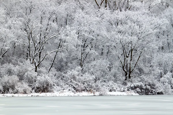 Pierce Lake Snowfall - Illinois — Stock Photo, Image