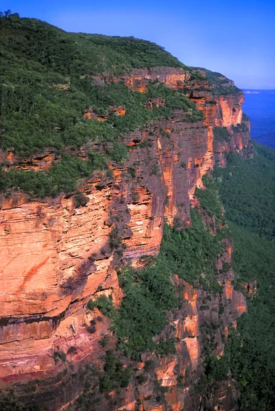 Mavi dağlar - Avustralya — Stok fotoğraf