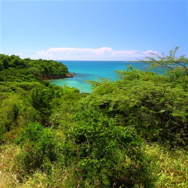 Guanica yedek - Porto Riko