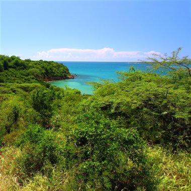Guanica Reserve - Puerto Rico clipart