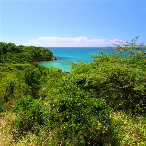 Guanica Reserve - Puerto Rico — Stock Photo, Image