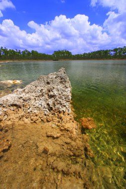 Everglades ulusal park - ABD