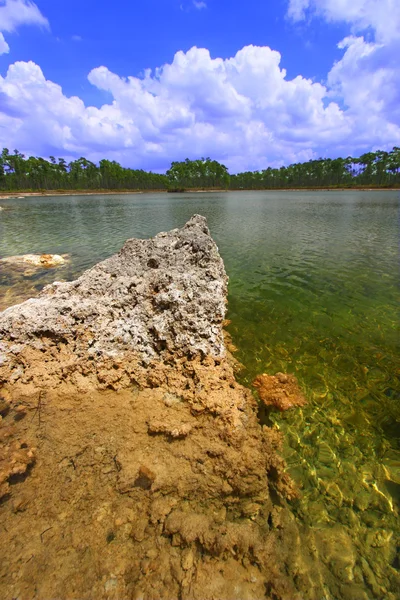 Everglades National Park - EUA — Fotografia de Stock