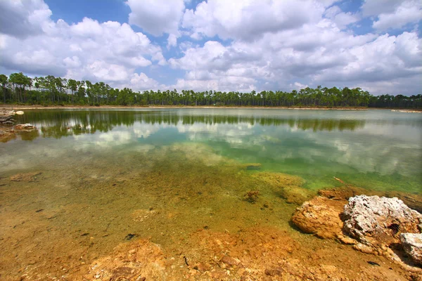 Park narodowy Everglades - usa — Zdjęcie stockowe