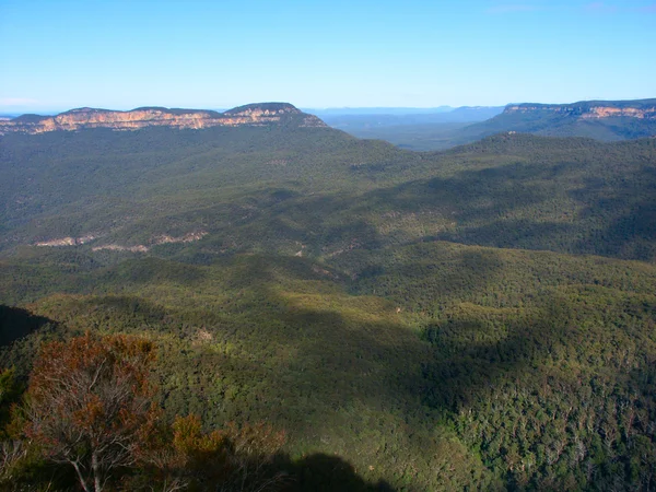 Blue mountains - Australië — Stockfoto