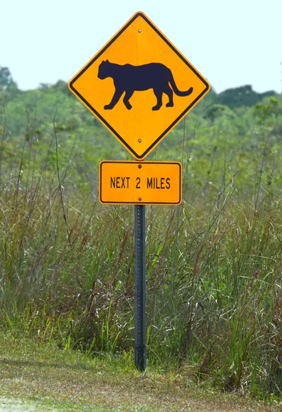 Señal de carretera de Florida Panthers — Foto de Stock