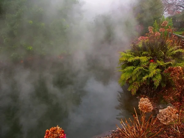 Πάρκο kuirau - Νέα Ζηλανδία — Φωτογραφία Αρχείου