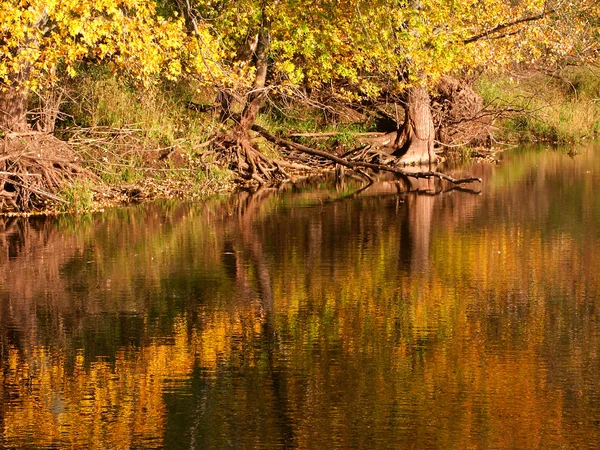 Na podzim barvu odrazů — Stock fotografie
