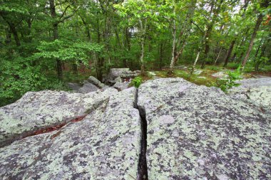 Cheaha State Park - Alabama clipart