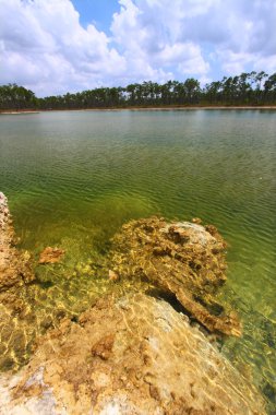 Everglades ulusal park - ABD