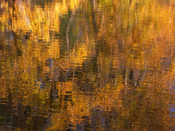 Осенний цветной рефлекс — стоковое фото