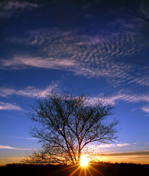 Sunset in Illinois — Stock Photo, Image