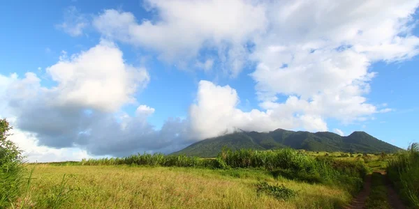 Monte Liamuiga a Saint Kitts — Foto Stock