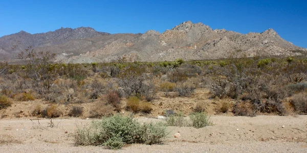 Mojave sivatag - Dél-Kaliforniában — Stock Fotó