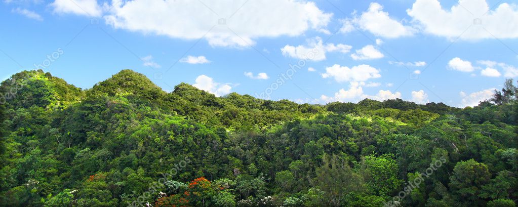 Guajataca Forest Reserve - Puerto Rico Stock Photo by ©Wirepec 5983173