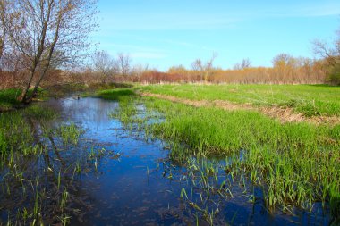 Illinois Backwaters clipart