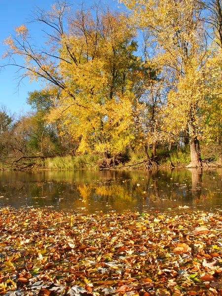 Riflessioni sul colore d'autunno — Foto Stock