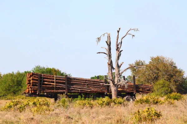 Logging Trailer - Florida — Stock Photo, Image