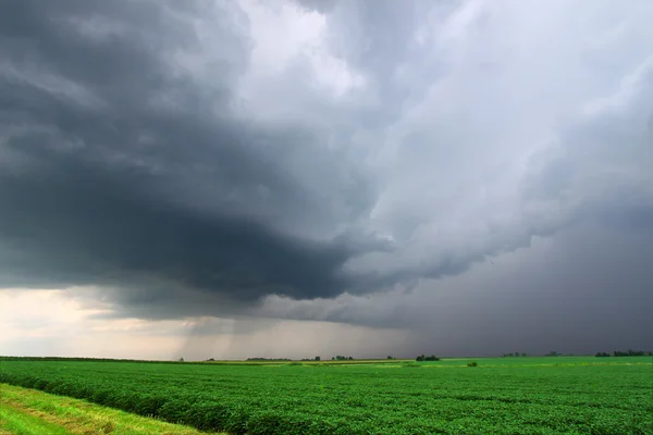 Severe Thunderstorm in Illinois — Stock Photo, Image