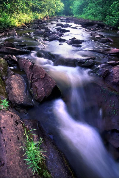 Дикобраз гори State Park — стокове фото