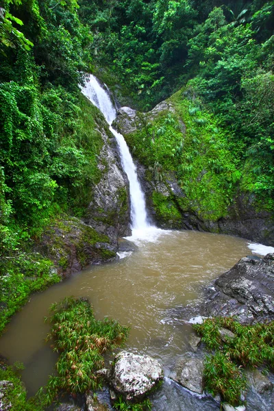 Dona Хуана водоспад - Пуерто-Ріко — стокове фото