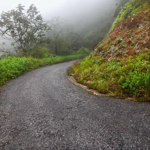 Foggy Puerto Rico Road — Stock Photo, Image