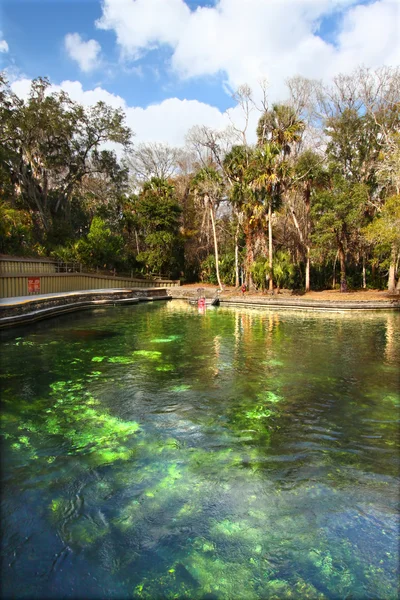 Wekiwa Springs en Florida — Foto de Stock
