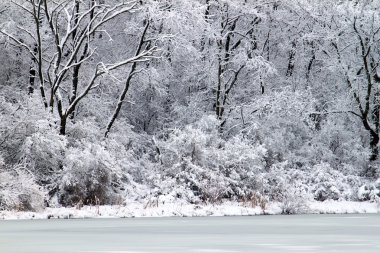 Pierce Lake Snowfall - Illinois clipart