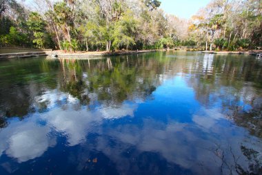 Wekiwa Springs in Florida clipart