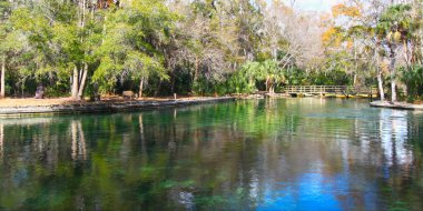 Wekiwa Springs in Florida clipart