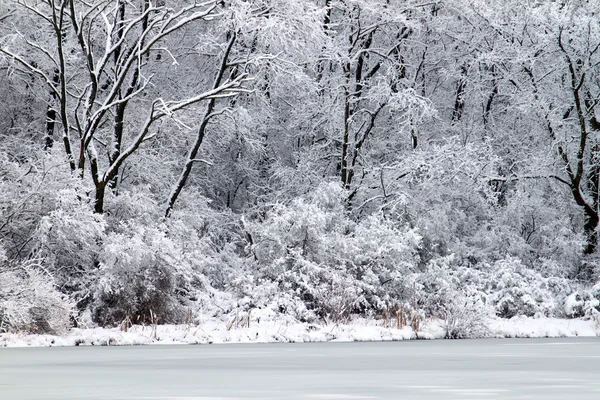 Doorboren lake sneeuwval - illinois — Stockfoto