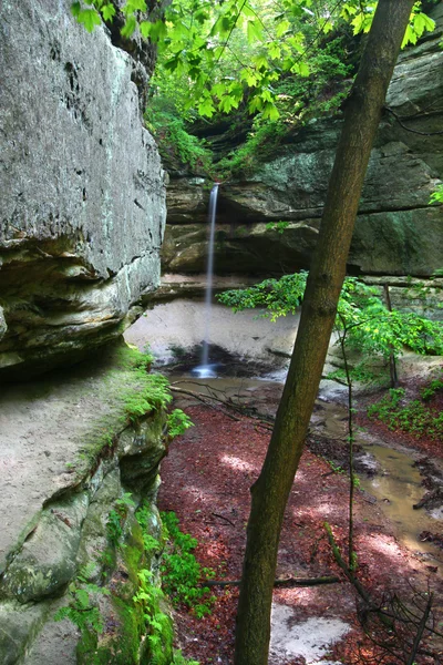 Owl Canyon - Starved Rock State Park — Stock Photo, Image