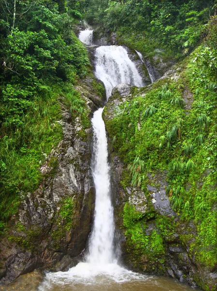 Dona juana falls - Porto Riko — Stok fotoğraf