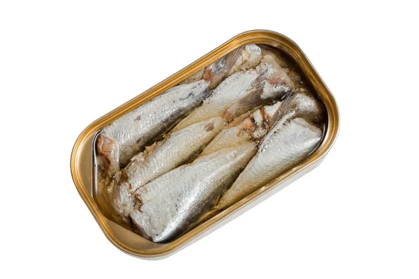 stock image Sardines