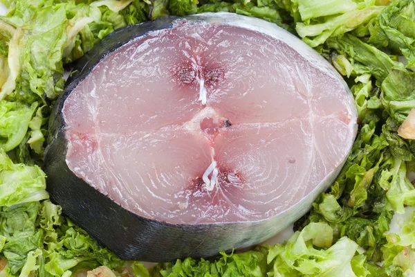 Północnej surowego tuńczyka — Zdjęcie stockowe