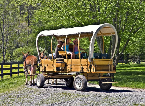 Täckt vagn på en gård — Stockfoto