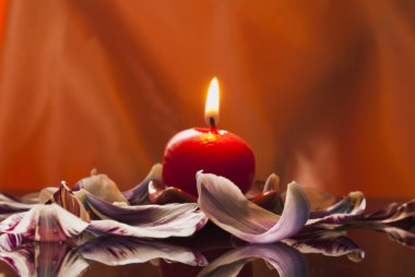 One candle and tulip's petal clipart