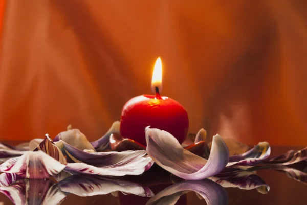 一支蜡烛和郁金香的花瓣 — 图库照片