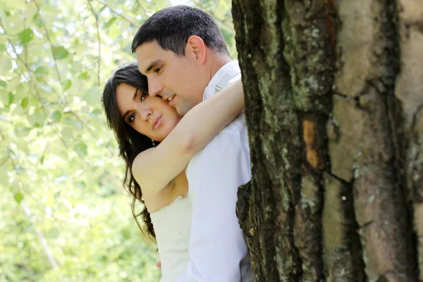 Couple in the forest — Stock Photo, Image