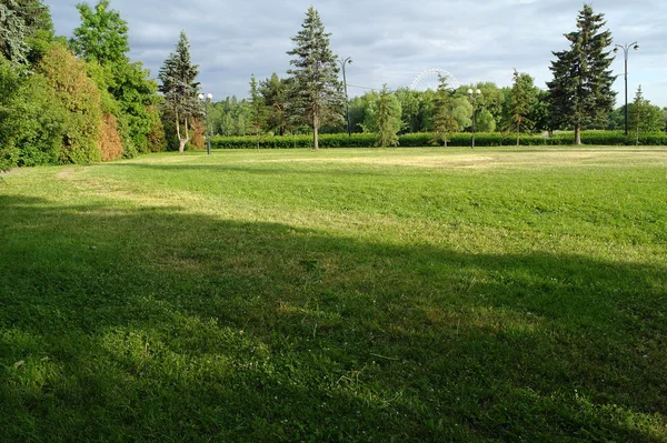 stock image Lawn and trees in the summer