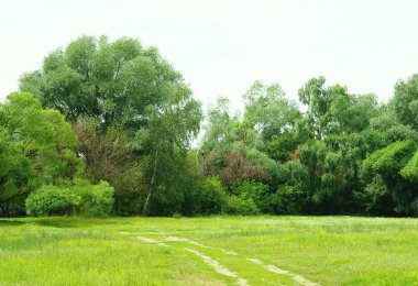 Yaz aylarında doğal Peyzaj Park