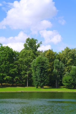 doğal peyzaj park kuzminki yaz aylarında göl